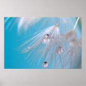 Magische Lüster Poster (Vorne)