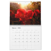 Magische Momente von Hawaii 2012 Kalender (Feb 2026)