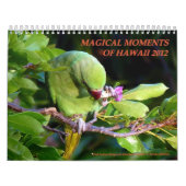 Magische Momente von Hawaii 2012 Kalender (Titelbild)