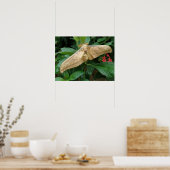 Magische Motordrucke Poster (Küche)