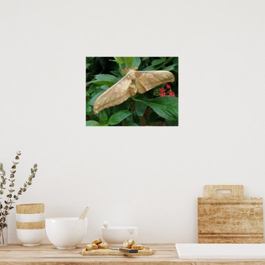 Magische Motordrucke Poster (Küche)