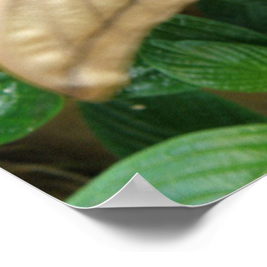 Magische Motordrucke Poster (Ecke)