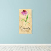 Magische Pflanze Echinacea 13.22'' x 25.52'' Leinw Leinwanddruck (Insitu (Holzboden))
