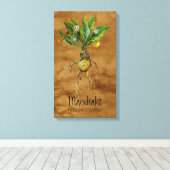 Magische Pflanze Mandrake 1 12.84'' x 21.93'' Lein Leinwanddruck (Insitu (Holzboden))