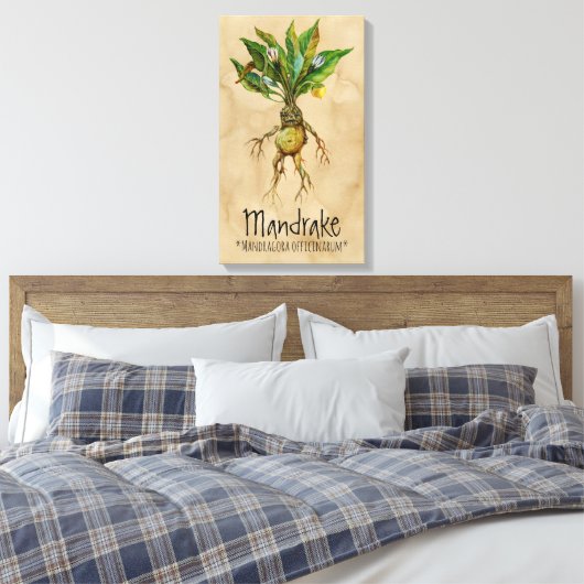 Magische Pflanze Mandrake 1 12.84'' x 21.93'' Lein Leinwanddruck (Insitu (Schlafzimmer))