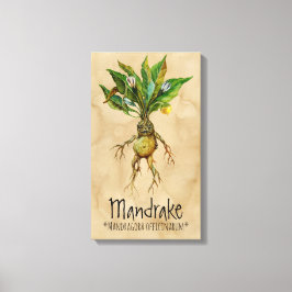 Magische Pflanze Mandrake 1 12.84'' x 21.93'' Lein Leinwanddruck