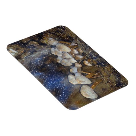 Magische Pilze Magnet (Rechte Seite)