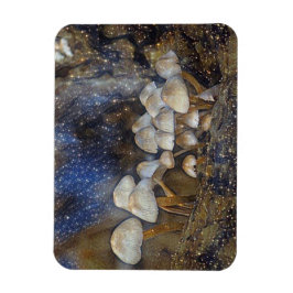 Magische Pilze Magnet