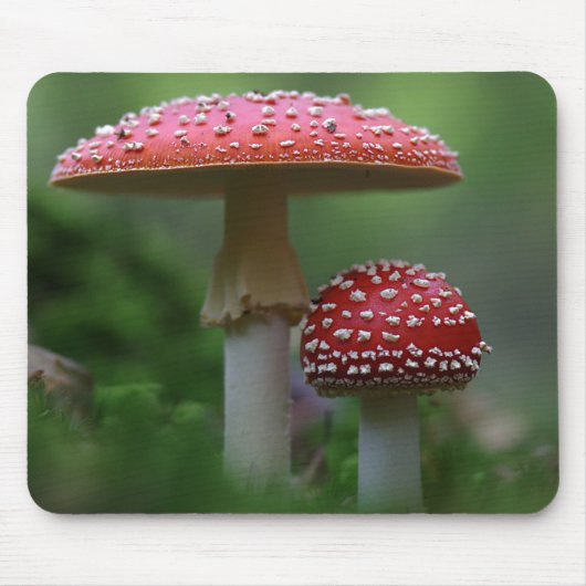 Magische Pilze Mousepad (Vorne)