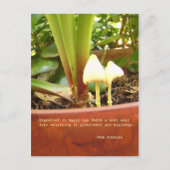 Magische Postkarte (Vorderseite)