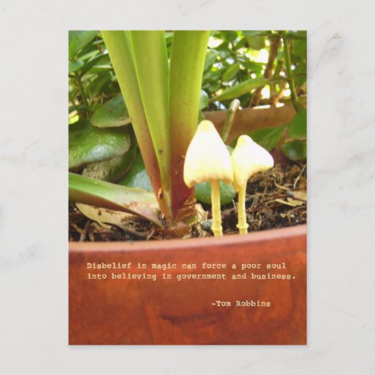 Magische Postkarte (Vorderseite)