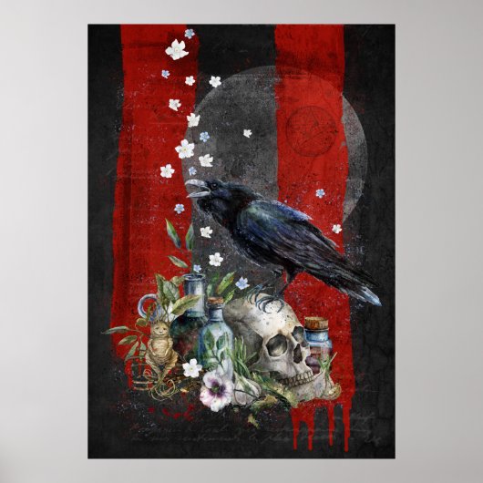 Magische Ravenzeit Poster (Vorne)