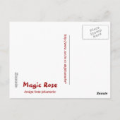 Magische Rose Postkarte (Rückseite)