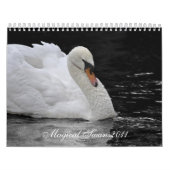 Magische Schwäne 2011 Kalender (Titelbild)