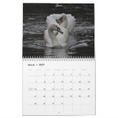 Magische Schwäne 2011 Kalender (Mär 2027)