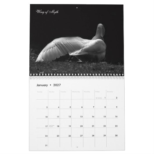 Magische Schwäne 2011 Kalender (Jan 2027)