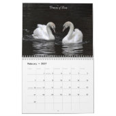 Magische Schwäne 2011 Kalender (Feb 2027)