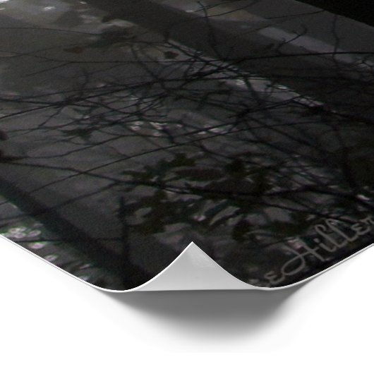 Magische Stunden Tanz von Nebel und Licht unter de Poster (Ecke)