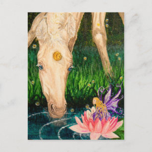 Magische Teich Einhorn & Faimfantasy Postkarte