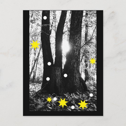 Magische Winterbaum-Postkarte Postkarte (Vorderseite)