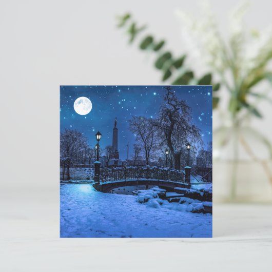 Magische Winternacht mit Sternenhimmel und Vollmon (Stehend Vorderseite)