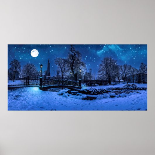 Magische Winternacht mit Sternenhimmel und Vollmon Poster (Vorne)