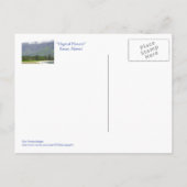 "MAGISCHER HANALEI" (KAUAI) POSTKARTE (Rückseite)