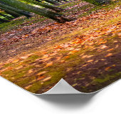 Magischer Herbstwald Poster (Ecke)
