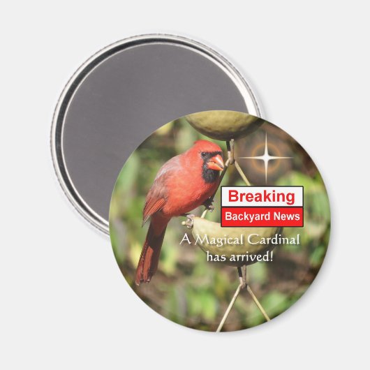 Magischer Kardinal Magnet (Vorderseite/Rückseite)