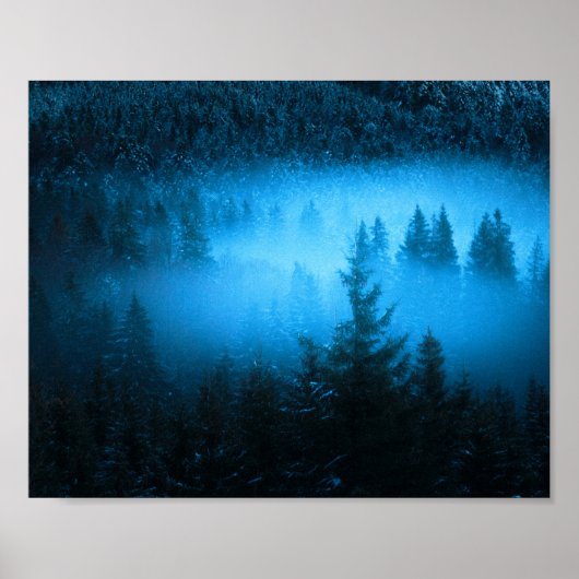 Magischer Nebel in schneebedecktem Fichtenwald Poster (Vorne)
