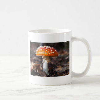 Magischer Pilz Kaffeetasse