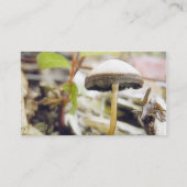 Magischer Pilz Visitenkarte (Rückseite)