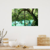 Magischer Radiumsprings Park Poster (Küche)