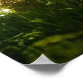 Magischer Wald | Elf & Fairies | Fantasy Nature Poster (Ecke)