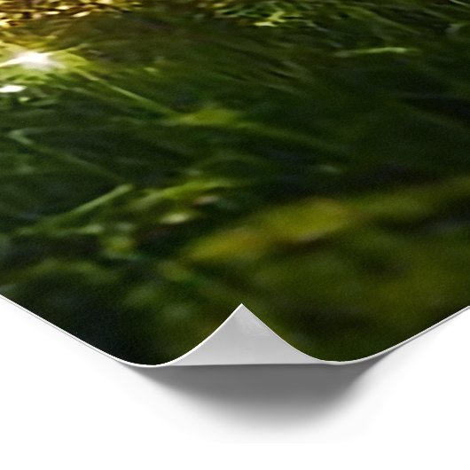 Magischer Wald | Elf & Fairies | Fantasy Nature Poster (Ecke)