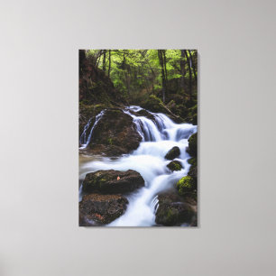 Magischer Wasserfall in der Schlucht Leinwanddruck