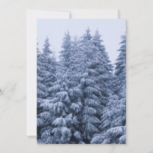 Magischer Winterwald - blau, maßgeschneidert Einladung