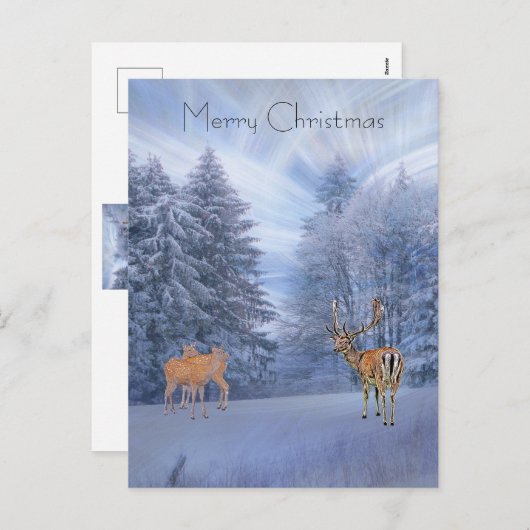 Magischer Winterwald mit Hirsch, Weihnachten Urlau (Vorne/Hinten)