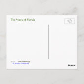 Magisches Florida. Postkarte (Rückseite)