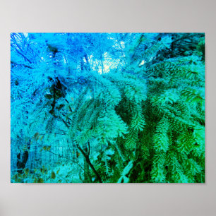 Magisches Froschflossen-Twigs in einem Winterwald Poster