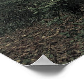 Magisches Holz Poster (Ecke)