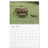 Magisches Kenia und seine wild lebenden Tiere Kalender (Mär 2026)