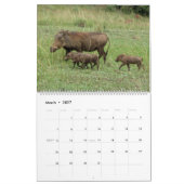 Magisches Kenia und seine wild lebenden Tiere Kalender (Mär 2027)