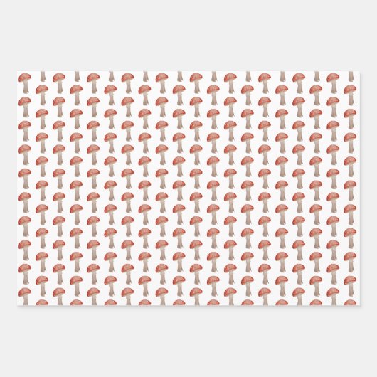 Magisches Mushroom-Toadstool-Wrapping-Papier Geschenkpapier Set (Vorderseite 2)