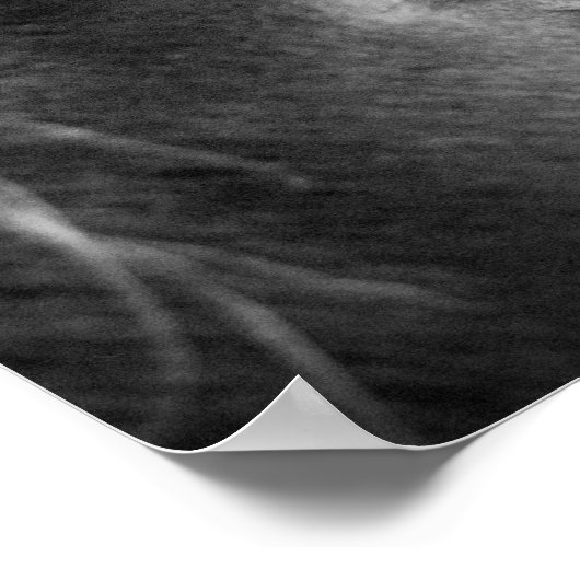 Magisches Pferd schwarz-weiß Poster (Ecke)