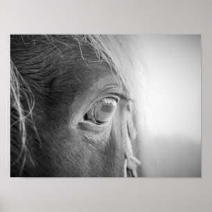 Magisches Pferd Schwarzweiss Poster
