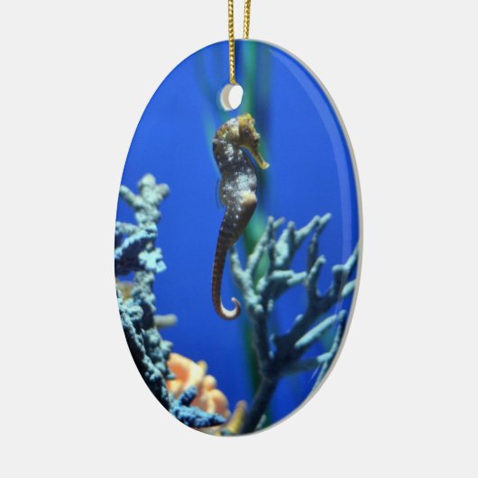 Magisches Seepferd Keramik Ornament (Links)