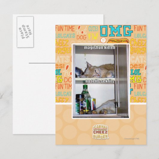 Magishun Kitteh Postkarte (Vorne/Hinten)