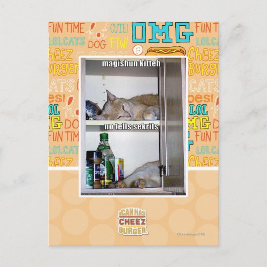 Magishun Kitteh Postkarte (Vorderseite)