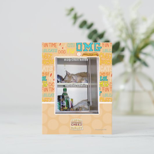 Magishun Kitteh Postkarte (Stehend Vorderseite)